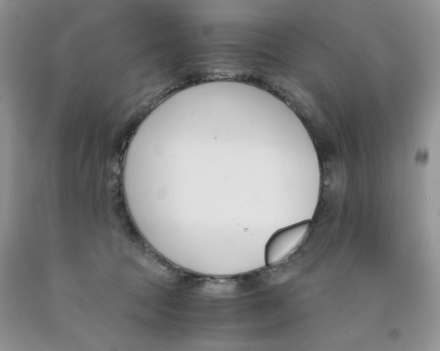 X0000091300369200709071058