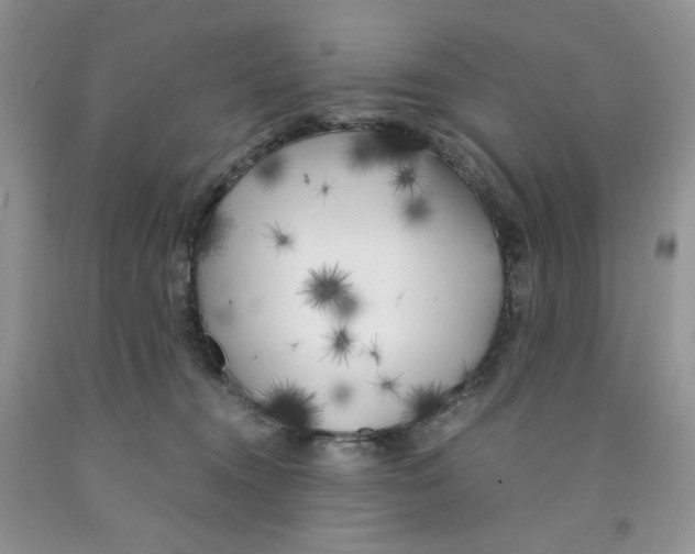 X0000091300372200709071058