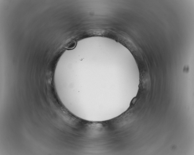 X0000091300374200709071058