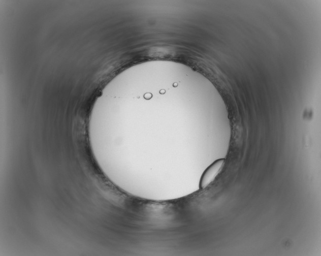 X0000091300375200709071058