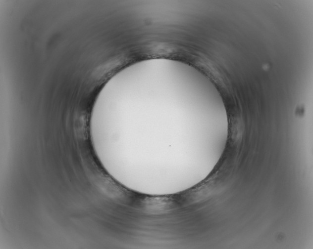 X0000091300378200709071058