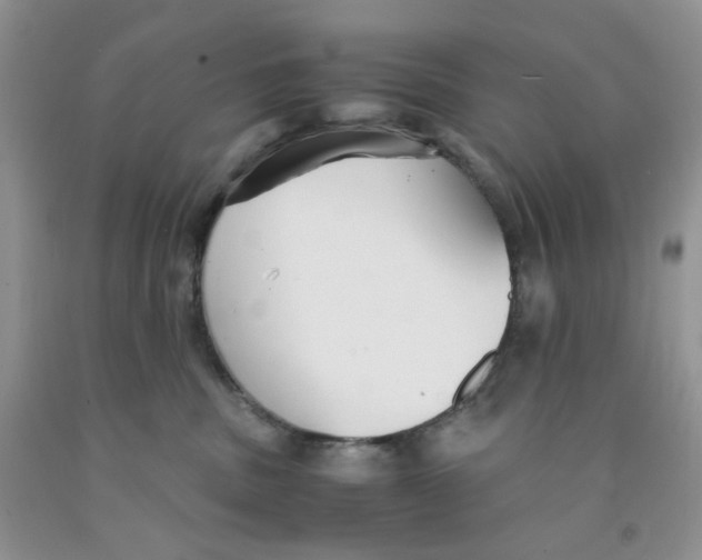 X0000091300379200709071058