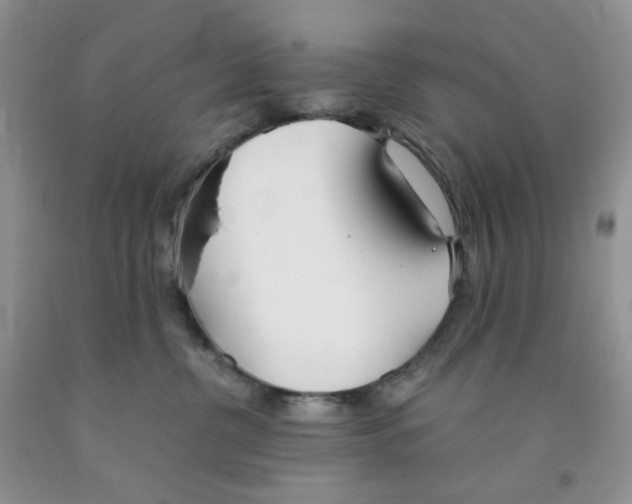 X0000091300380200709071058