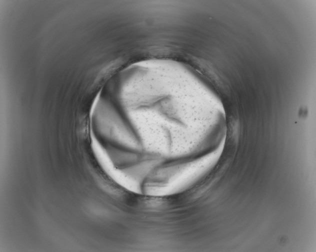 X0000091300383200709071058