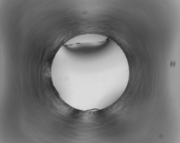 X0000091300384200709071058