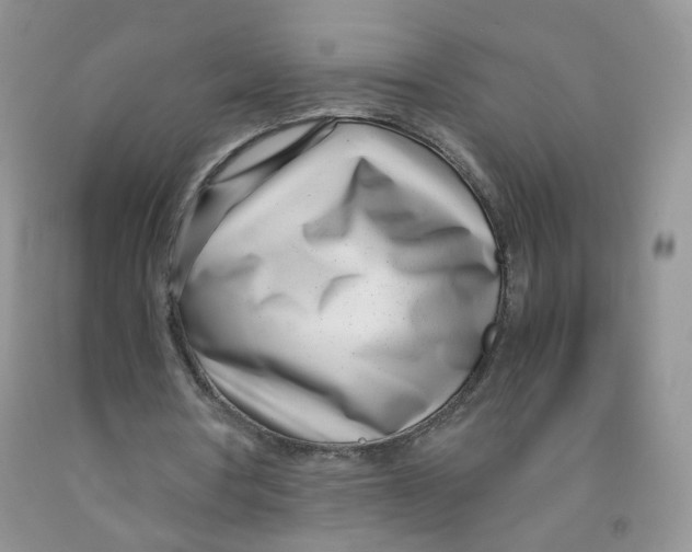 X0000091300386200709071057