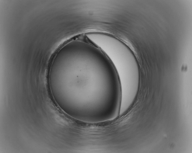 X0000091300387200709071057