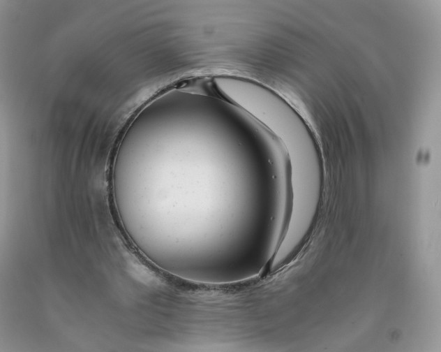 X0000091300389200709071057