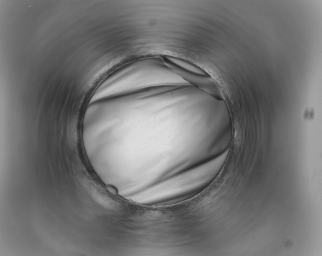 X0000091300390200709071057