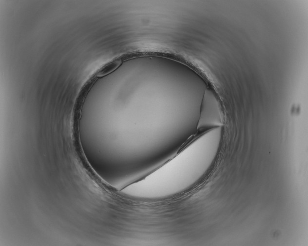 X0000091300391200709071057