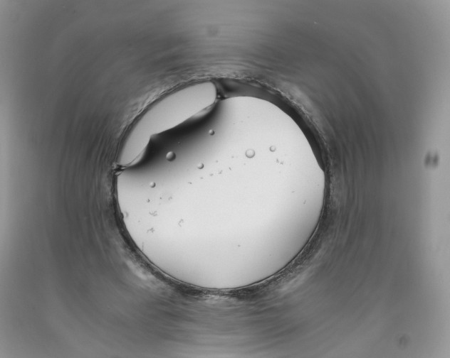 X0000091300393200709071057