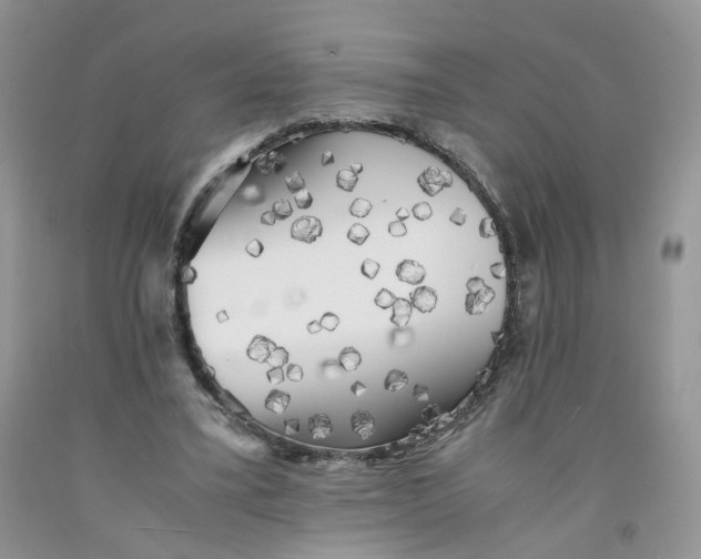 X0000091300395200709071057
