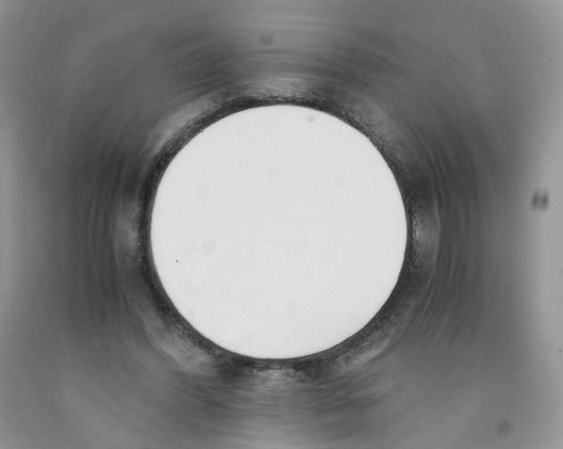 X0000091300396200709071057