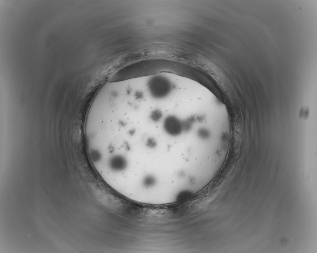 X0000091300401200709071057