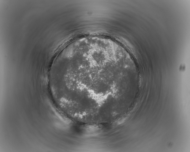 X0000091300405200709071057