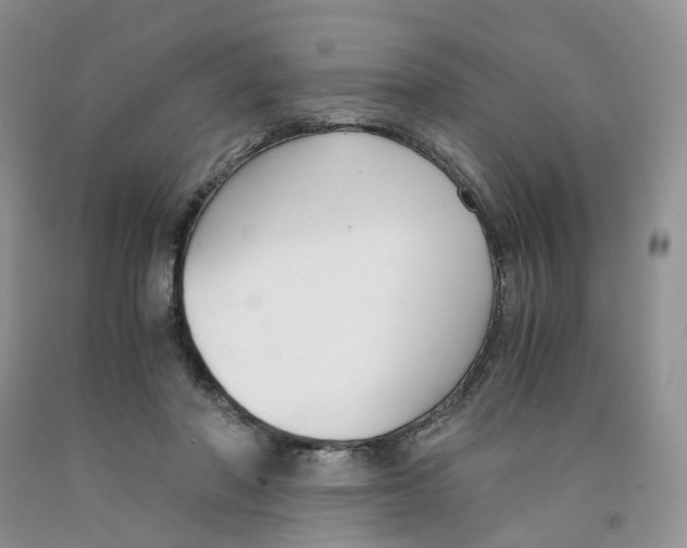 X0000091300406200709071057