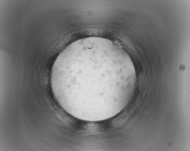 X0000091300413200709071057