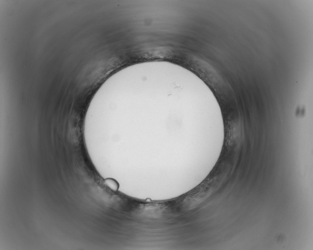 X0000091300414200709071057