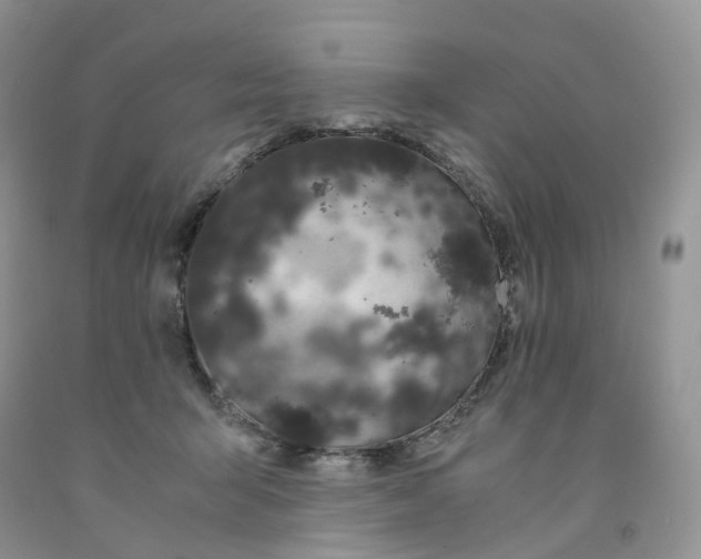 X0000091300415200709071057