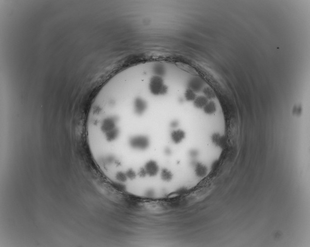 X0000091300417200709071057