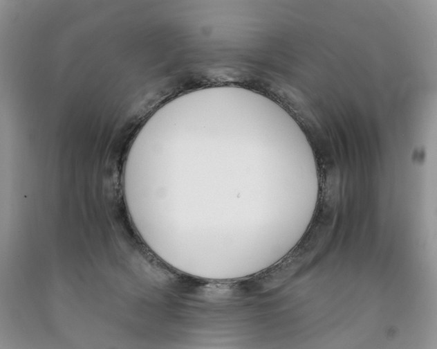 X0000091300418200709071057