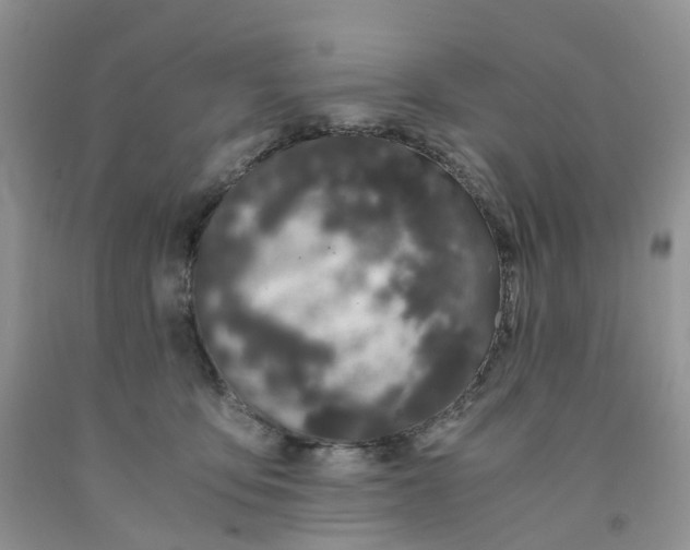 X0000091300419200709071057