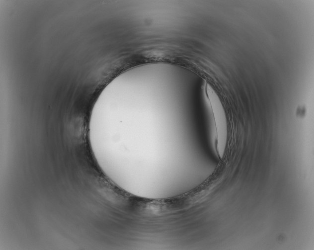 X0000091300420200709071057