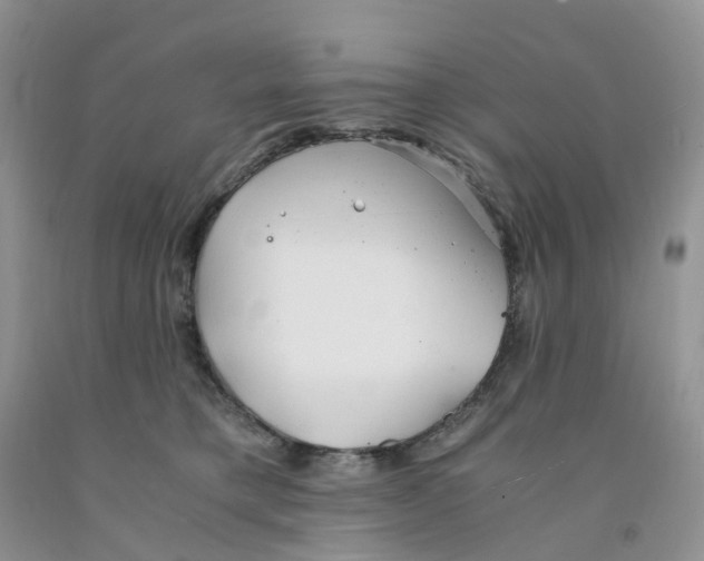 X0000091300421200709071057