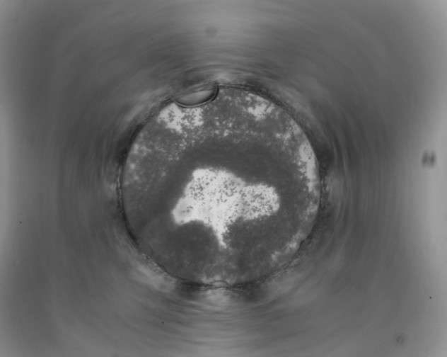 X0000091300423200709071057