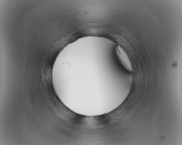 X0000091300425200709071057