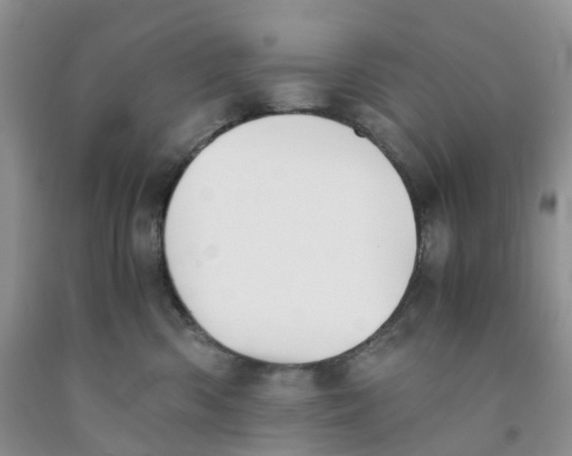 X0000091300426200709071057