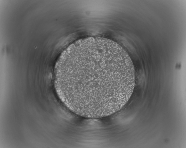 X0000091300427200709071057