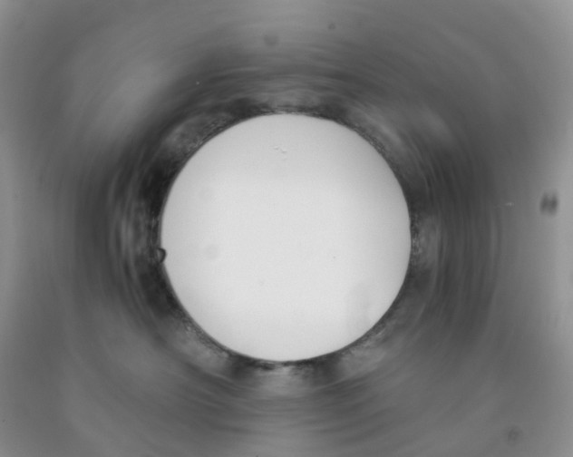 X0000091300430200709071057