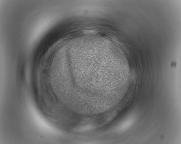 X0000091300431200709071057