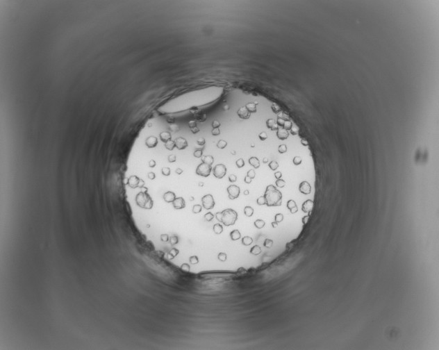 X0000091300432200709071057
