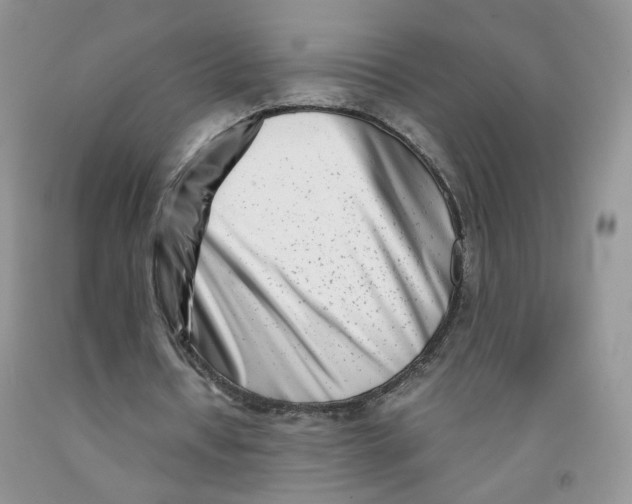 X0000091300434200709071056