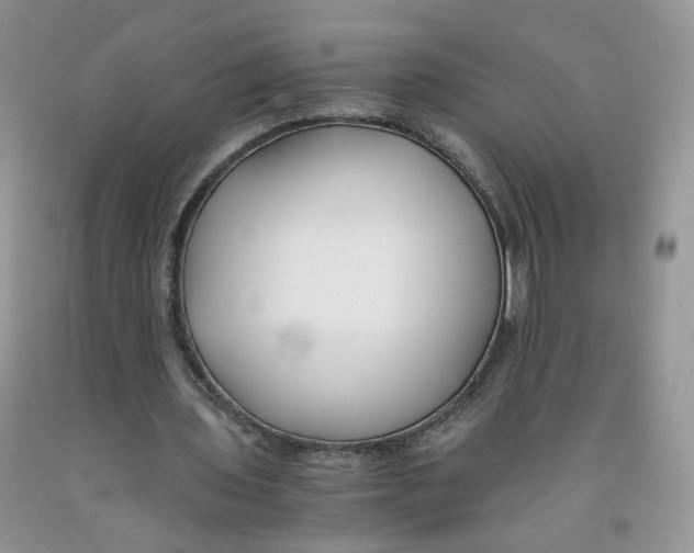 X0000091300435200709071056