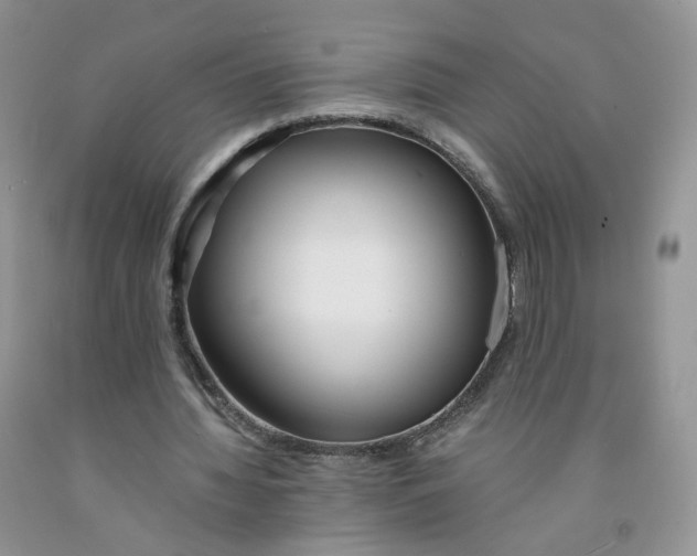 X0000091300436200709071056