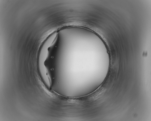 X0000091300437200709071056