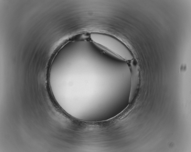 X0000091300438200709071056