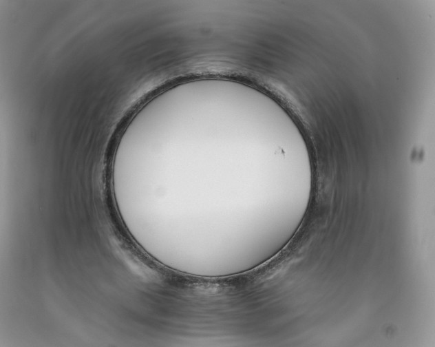 X0000091300439200709071056