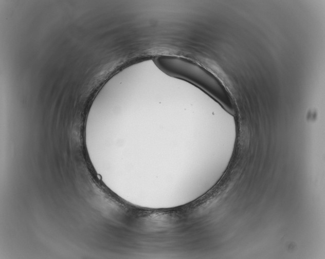 X0000091300441200709071056