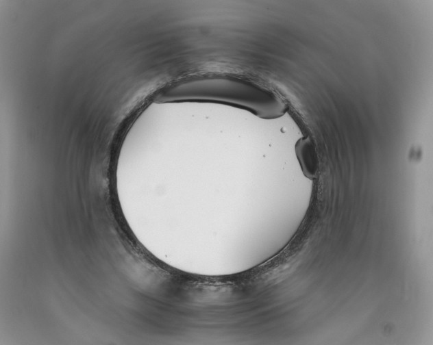 X0000091300443200709071056