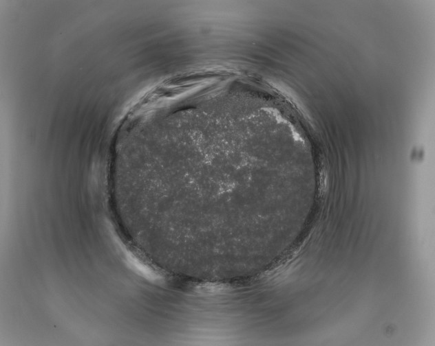 X0000091300444200709071056