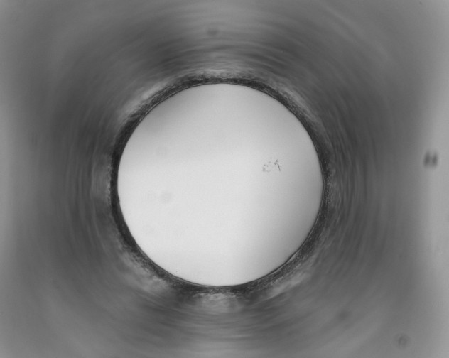 X0000091300446200709071056