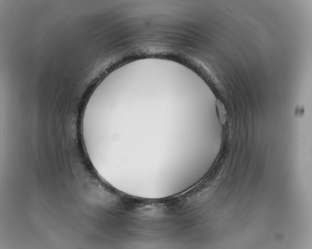 X0000091300447200709071056