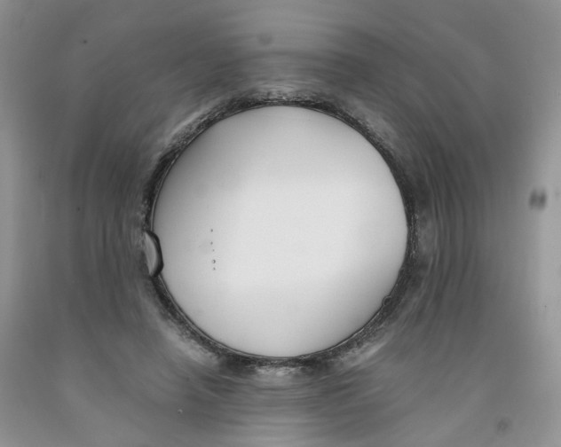 X0000091300450200709071057