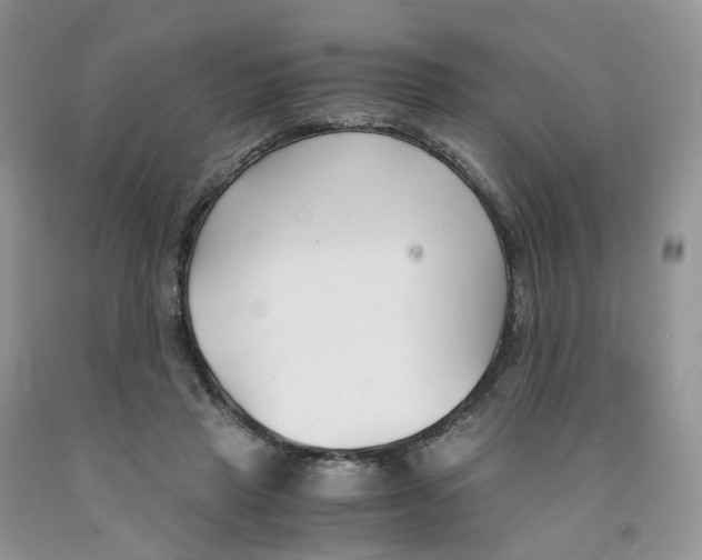 X0000091300453200709071057