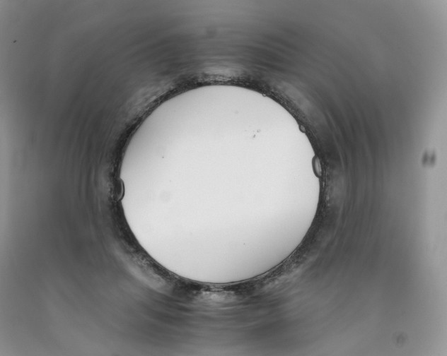 X0000091300455200709071057