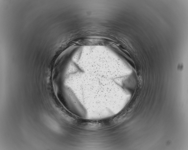 X0000091300458200709071057